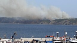Beykoz’da orman yangını çıktı