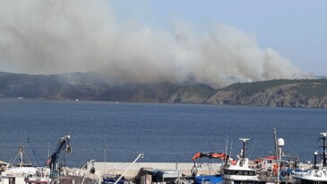 Beykoz’da orman yangını çıktı