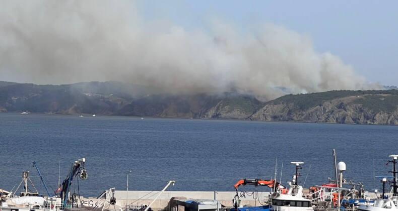 Beykoz’da orman yangını çıktı