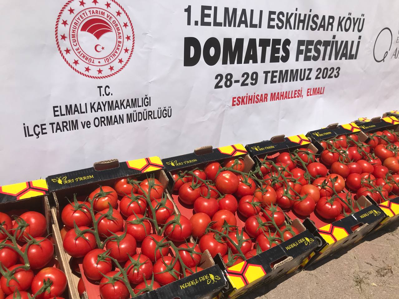 Antalya'da "Domates Festivali" başladı 18 AA 20230728 31792486 31792485 ANTALYADA ESKIHISAR KOYU DOMATES FESTIVALI BASLADI