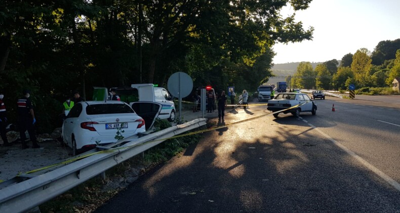 Bursa’da kazaya karışan otomobil piknikçilere çarptı!