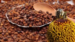 Arı ekmeği kullananlara faydaları ve zararları nelerdir? Arı ekmeği nasıl yapılır?