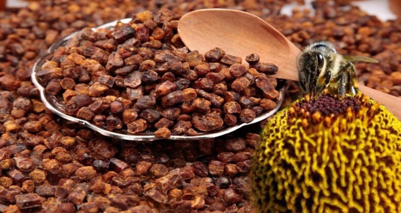 Arı ekmeği kullananlara faydaları ve zararları nelerdir? Arı ekmeği nasıl yapılır?