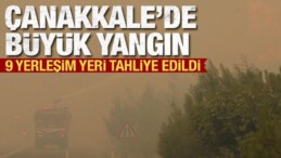 Çanakkale’de orman yangını! Bakan Yumaklı’dan açıklama