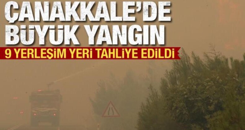 Çanakkale’de orman yangını! Bakan Yumaklı’dan açıklama