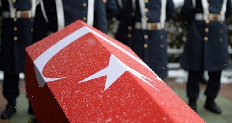 Fırat Kalkanı Harekat bölgesinde 1 polis şehit oldu