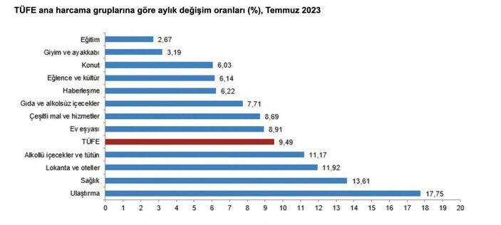 TÜİK Temmuz ayı enflasyon oranını açıkladı 9 tuik 2023 temmuz3