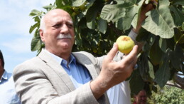 Bayraktar, Aydın’da İncir Hasadında Katıldı