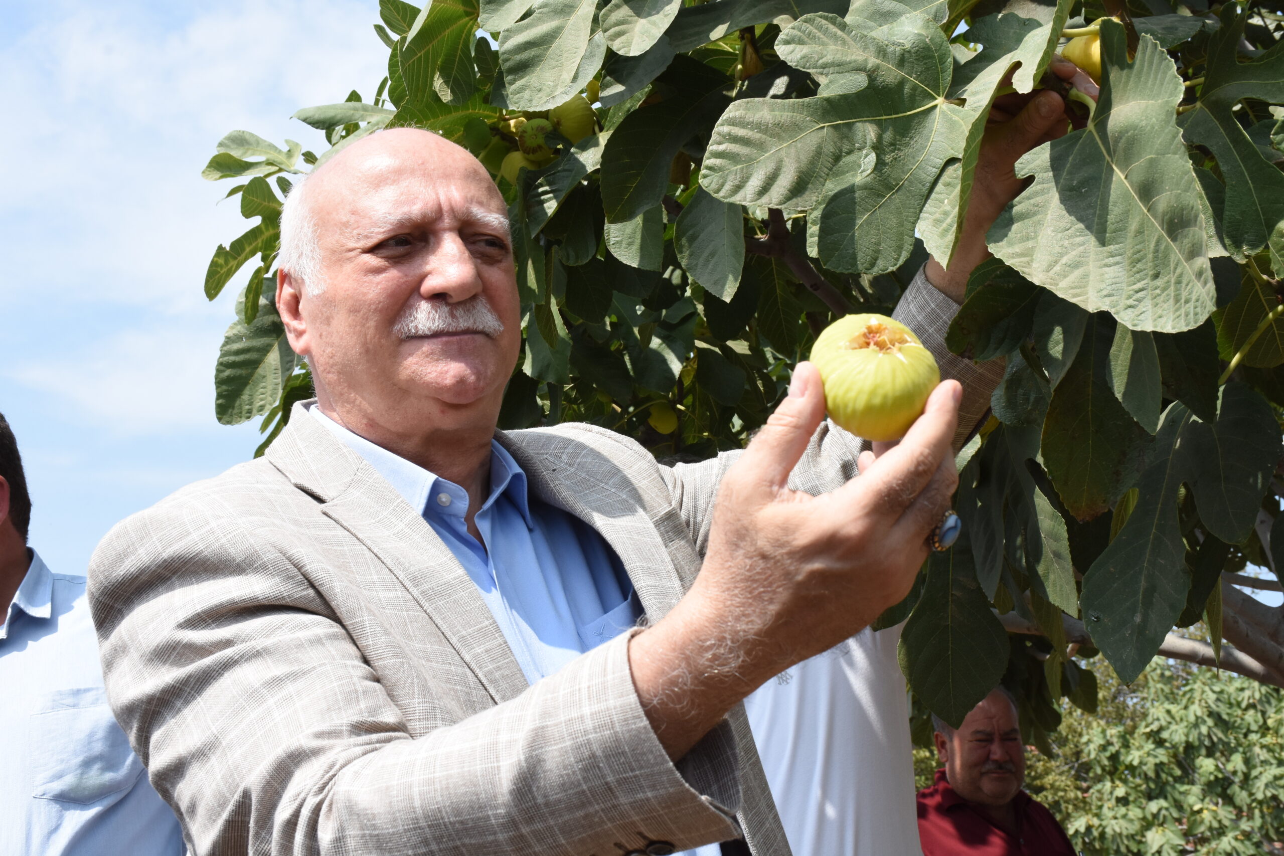 Bayraktar, Aydın'da İncir Hasadında Katıldı 4 AA 20230902 32057542 32057540 TURKIYE ZIRAAT ODALAR BIRLIGI BASKANI BAYRAKTAR AYDINDA INCIR HASADINA KATILDI scaled