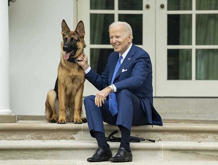 ABD Başkanı Biden'ın Köpeği Gizli Servis Görevlisini Isırdı 1 abd baskani bidenin kopegi gizli servis gorevlisini isirdi 0 HWe5HeR7