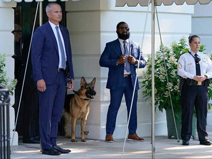 ABD Başkanı Biden'ın Köpeği Gizli Servis Görevlisini Isırdı 2 abd baskani bidenin kopegi gizli servis gorevlisini isirdi 1 9umL6zHF