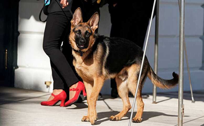 ABD Başkanı Biden'ın Köpeği Gizli Servis Görevlisini Isırdı 3 abd baskani bidenin kopegi gizli servis gorevlisini isirdi 2 Q5GUStBy