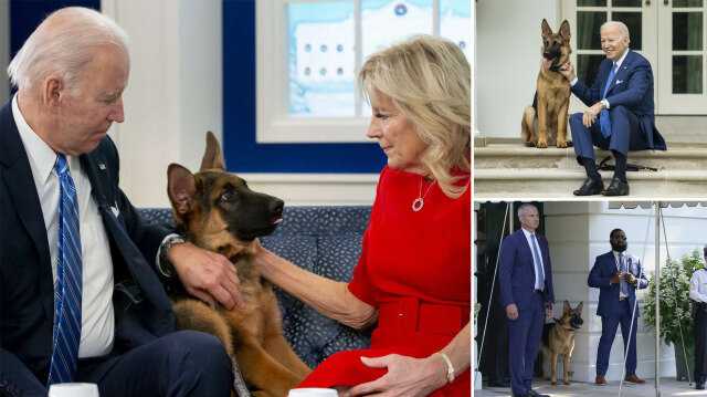 ABD Başkanı Biden’ın Köpeği Gizli Servis Görevlisini Isırdı