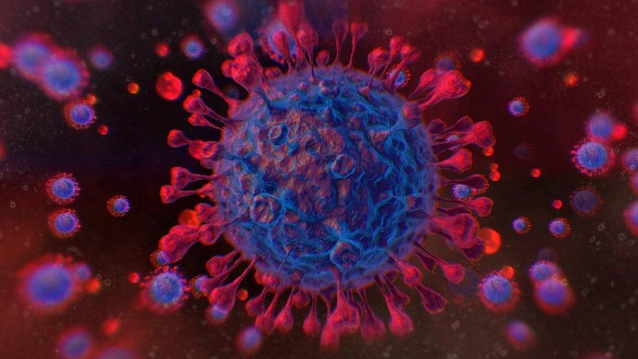 Eris Virüsü Nedir, Öldürür Mü? Eris Virüsü Belirtileri! 3 eris virusu nedir oldurur mu covid 19un yeni varyanti eris virusu belirtileri 3 2UEU1Xqn