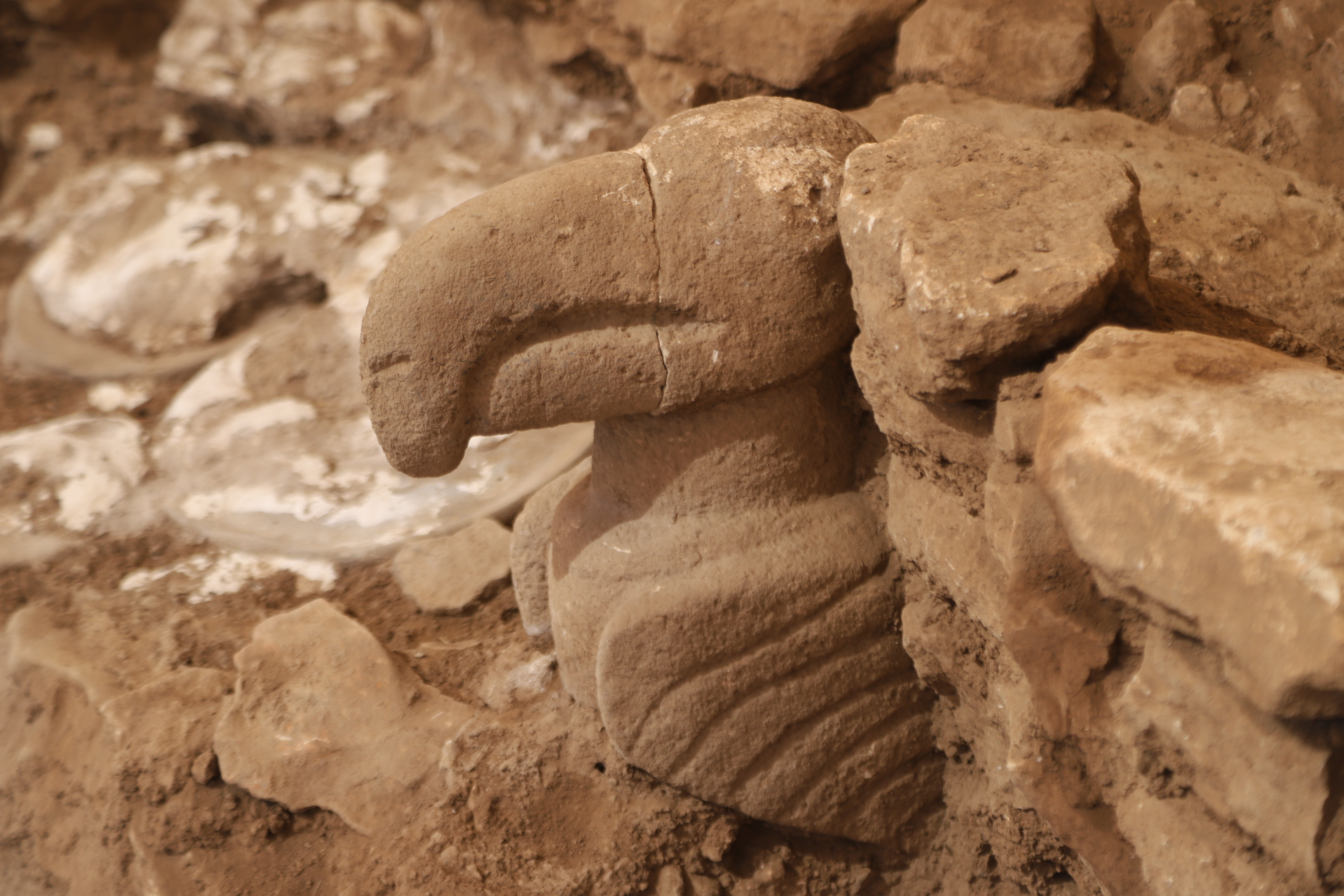 Göbeklitepe ve Karahantepe'de 12 Bin Yıllık Heykeller Bulundu 2 gobeklitepe ve karahantepede yeni heykeller bulundu 2 ItRNDt69