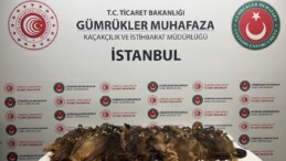 Havalimanlarında 1,3 Milyon TL Değerinde Kaçak İnsan Saçı Operasyonu