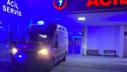 Kastamonu’da Ayı Saldırısına Uğrayan Adam Yoğun Bakımda