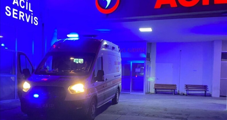 Kastamonu’da Ayı Saldırısına Uğrayan Adam Yoğun Bakımda