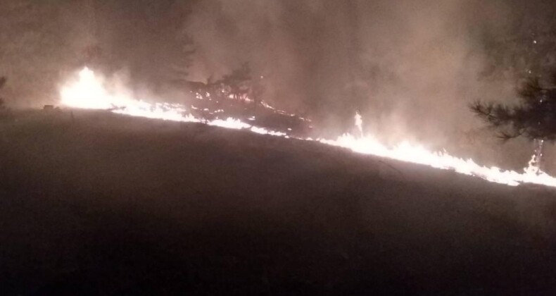 Muğla Köyceğiz’de Orman Yangını
