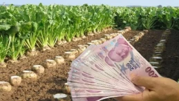 Bakan Yumaklı’dan Şeker Pancarı Alım Fiyatı Açıkladı