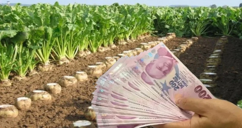 Bakan Yumaklı’dan Şeker Pancarı Alım Fiyatı Açıkladı