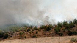 Kahramanmaraş’ta Çıkan Orman Yangını Kontrol Altına Alındı