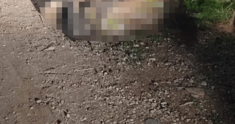 Hatay’da Kayıp Kadın Cinayete Kurban Gitti!