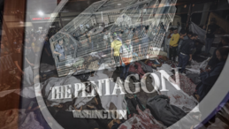 Pentagon: “Desteğimiz Sivilleri Hedef Almak İçin Değil!”