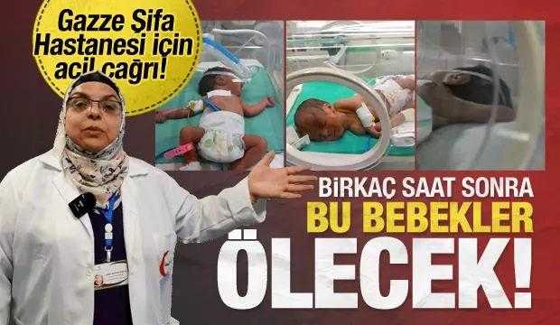 cumhurbaskanligi iletisim baskani altundan gazzeli bebekler icin cagri 1 J8vubqQs