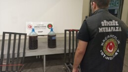 Sarp Gümrük Kapısı’nda Kaçak Kestane Balı Operasyonu