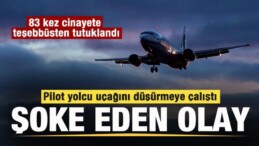ABD’de Bir Yolcu Uçağını Düşürme Girişimi: Pilot Tutuklandı