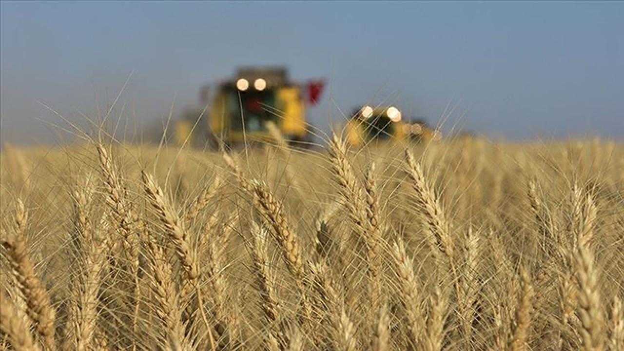 Çiftçilere Müjde: Tarımsal Destek Ödemeleri Bugün Başlıyor! 1 tarim aa 2003816