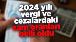2024 Yılı Vergi ve Ceza Oranları Zammı Belli Oldu!