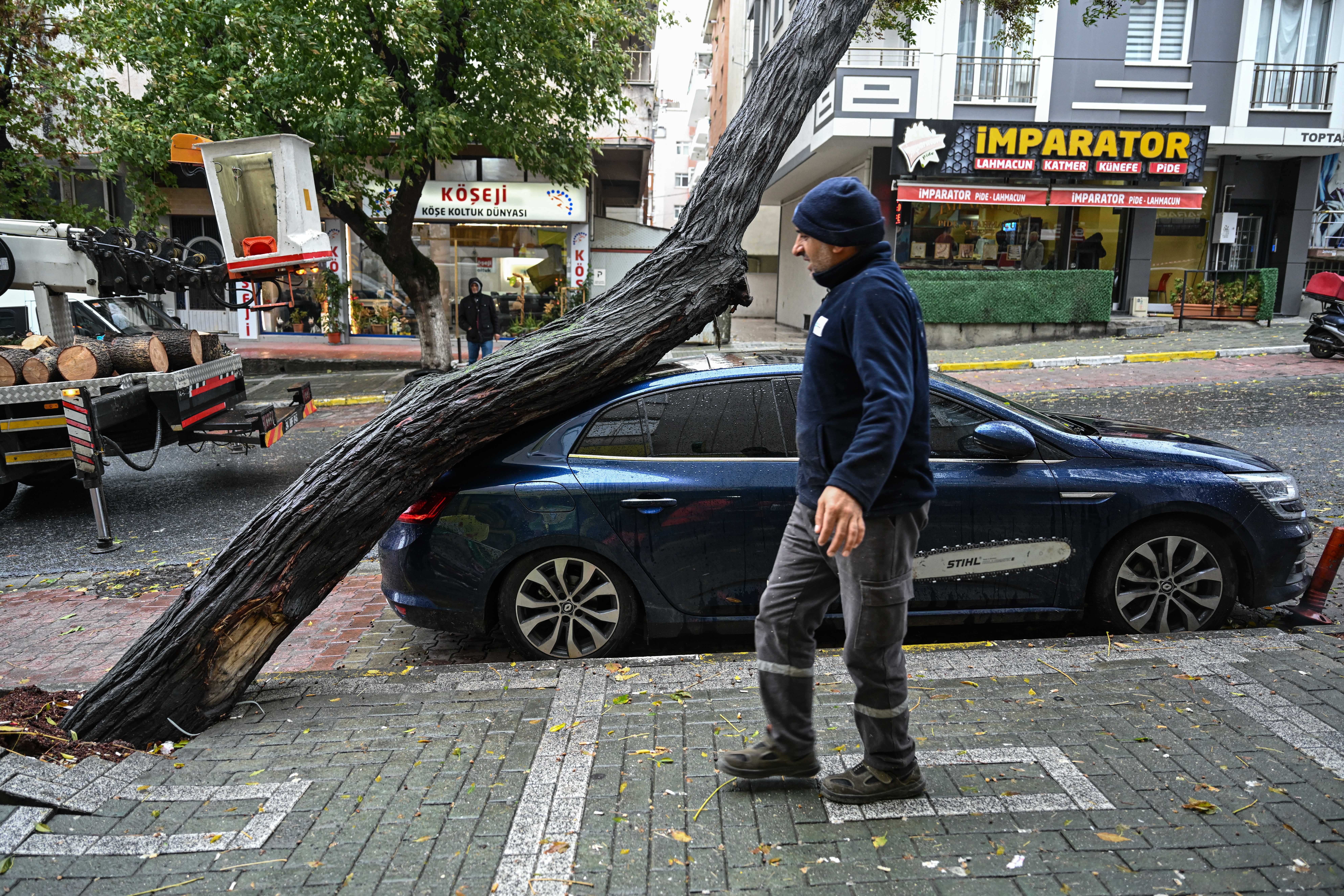 Şile ve Ağva'da Şiddetli Yağış Felaketi: Dere Taşmasıyla İş Yerleri Sular Altında 2 AA 20231119 32963135 32963127 FIRTINA NEDENIYLE AVCILARDA OTOMOBILIN UZERINE AGAC DEVRILDI