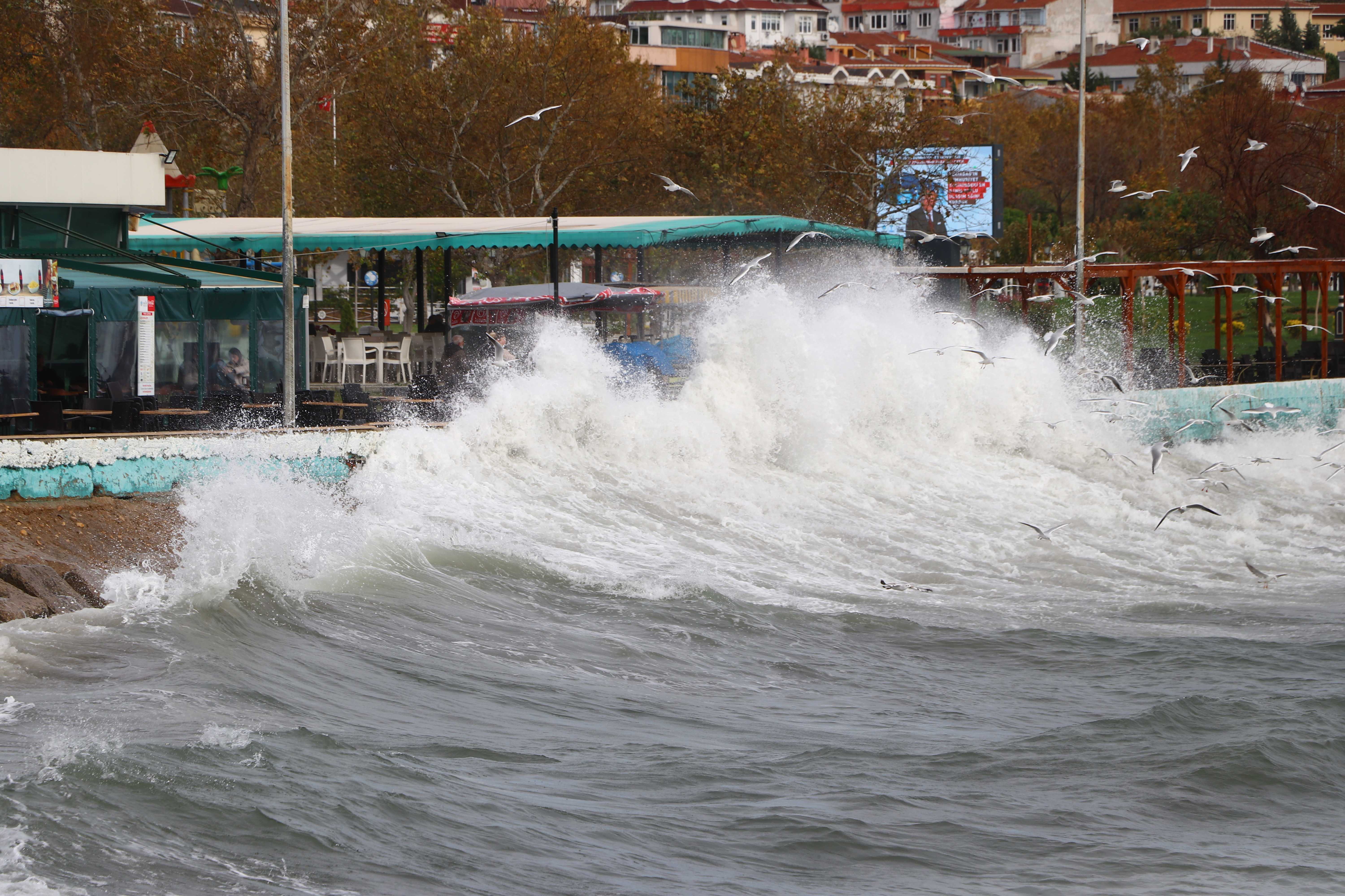 Kış Şartları Türkiye'yi Etkisi Altına Aldı: Okullar Tatil, İstanbul'a Kar Geliyor 8 AA 20231125 33019825 33019815 TEKIRDAGDA DENIZ ULASIMINA LODOS ENGELI