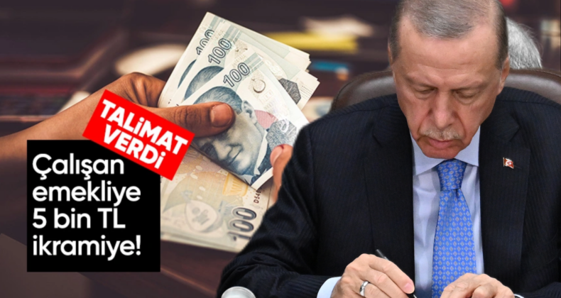 Erdoğan’dan Çalışan Emeklilere 5 Bin TL İkramiye Talimatı