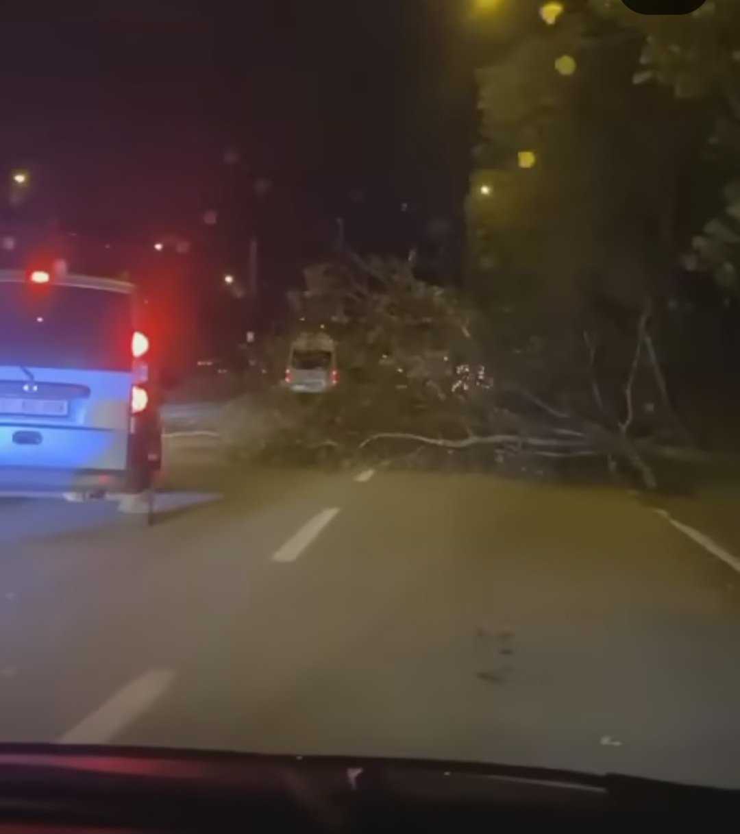 Bursa'da 100 Km/H Lodos Şiddeti! Okullar Tatil Mi? 4