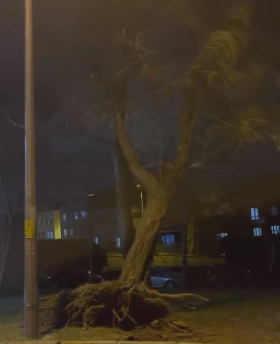 Bursa'da 100 Km/H Lodos Şiddeti! Okullar Tatil Mi? 8 GADJaoCWcAA jKE