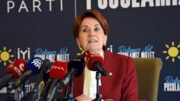 ‘Akçeli İşleri Araştıralım’ Önerisi Meral Akşener’i Çileden Çıkardı!