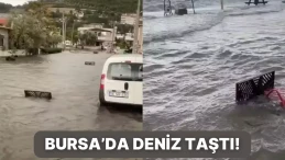 Bursa’da Deniz ile Kara Birleşti!