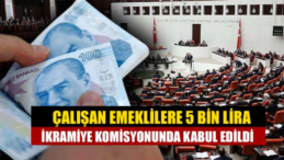 Çalışan Emeklilere 5 Bin TL İkramiye Onaylandı!