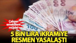 Çalışan Emeklilere 5 Bin TL İkramiye Yasalaştı