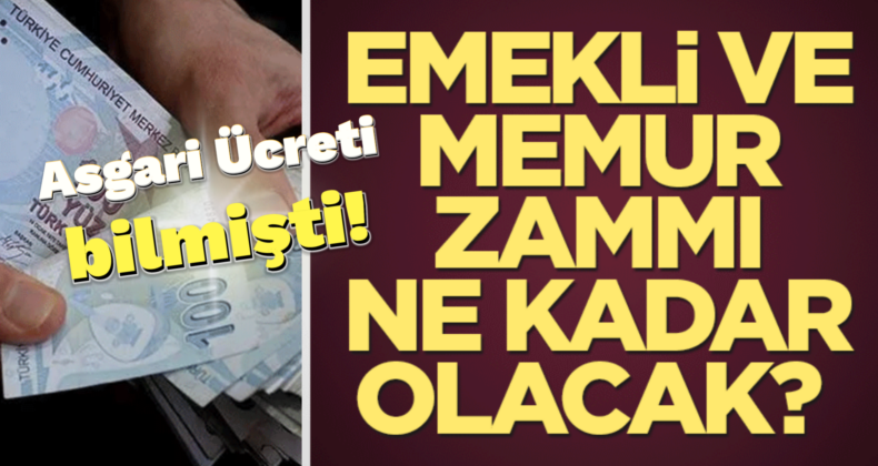 Asgari Ücreti Bilmişti! Memur ve Emekli Maaşı Açıkladı!
