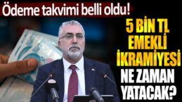 Çalışan Emeklilere 5 Bin TL İkramiye Ödemesi Tarihi Belli Oldu!