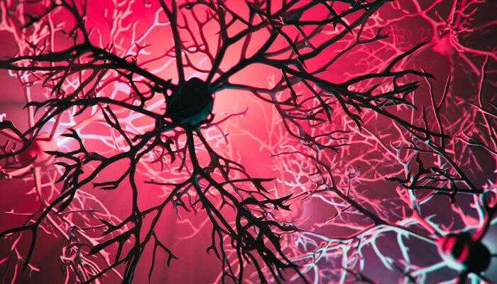 "Yaşlıdır, Unutur" Yanılgısına Uzmanlar Uyarı! 2 alzheimer