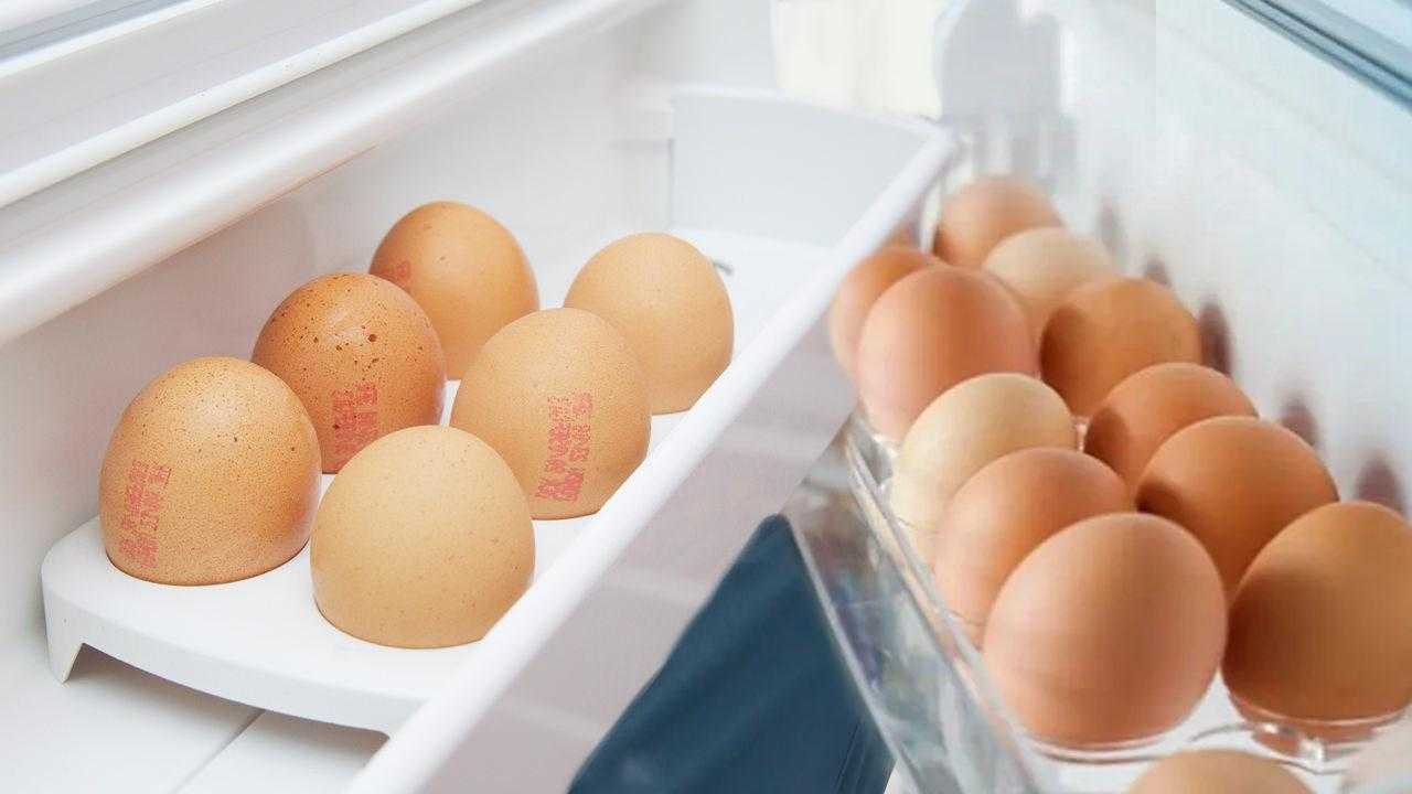 Buzdolabında Saklanan Yumurtalara Dikkat! Meğer Herkes Yanlış Yapıyormuş… 2 buzdolabinda saklanan yumurtalara dikkat meger herkes yanlis yapiyormus 2 WI4TPSIM