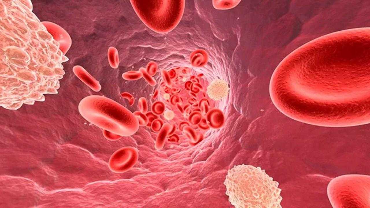 Çok Nadir Görülüyor! Aplastik Anemi Hastalığı Nedir? 3 cok nadir goruluyor milyon nufusta 2 veya 4 kiside rastlaniyor 3 XQbZGWCM