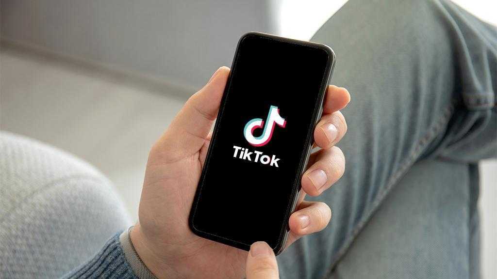z kusaginin en cok guvendigi platform belli oldu 2