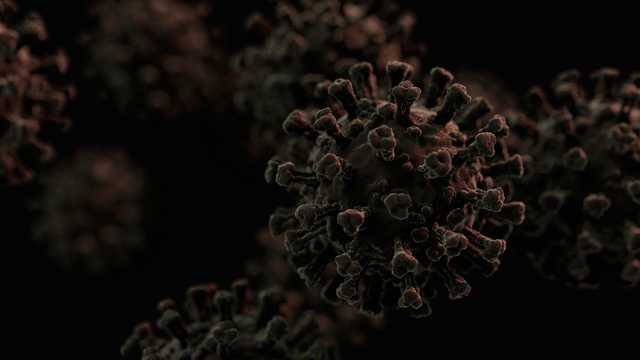 "X Hastalığı" Alarmı: Covid-19'dan 20 Kat Daha Ölümcül! 3 640x360 1