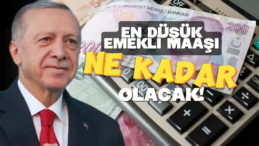 En Düşük Emekli Maaşı Ne Olacak? İşte Beklenen Rakamlar ve Kök Maaş Hesaplaması…